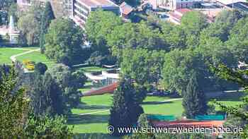 Schweizer Wiese Bad Herrenalb: Wohneinheiten, Hotel und Nahversorgungsmarkt geplant