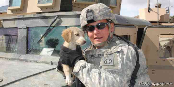 I'm an army veteran whose puppy eased my PTSD. Now I own a dog-training school - here's what my job is like.