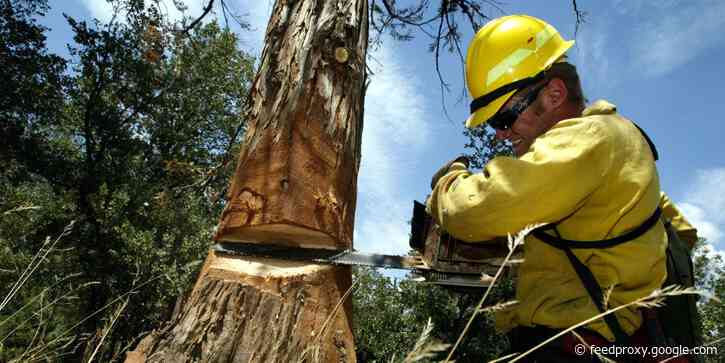 The 34 deadliest jobs in America