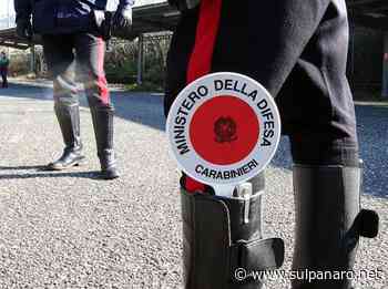 Soliera, ruba merce dal supermercato per un valore di 2mila euro, arrestato - SulPanaro