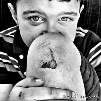 Jamestown Arts Center seeks artist submissions for ‘RAW: Reassessment and Wonder’ - What'sUpNewp