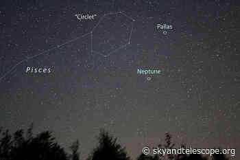 Asteroid Pallas Makes a Point in Pisces