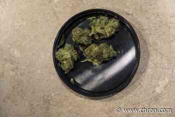 San Marcos could become next Texas city to decriminalize marijuana