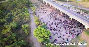 Stunning Photo Shows Thousands of Migrants Waiting to Be Apprehended as Border Patrol Is 'Overwhelmed'