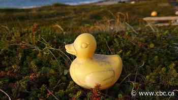 This rubber duck started a river race in Alberta and washed ashore in Russia