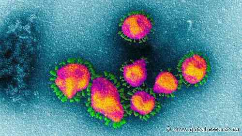 What Happened in 2020-21. The “Pandemic”