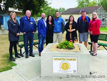 Planning to add shade to Distancing Diamonds - Leduc Representative