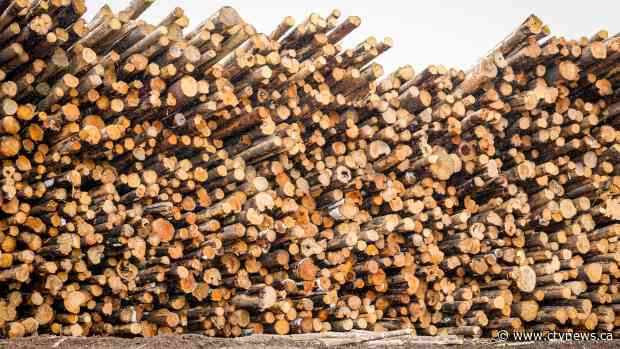 DIY-ers benefit from lower prices in aftermath of lumber price correction