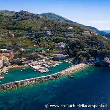 Punta Campanella con l'ISPRA per combattere l'inquinamento marino - Cronache della Campania