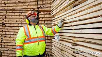 Lumber crash leads to 'blowout' sales as prices crater