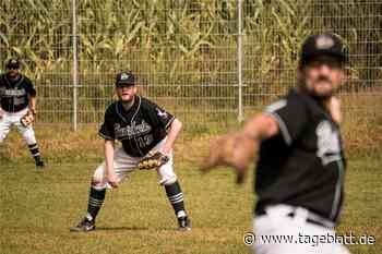 Diese Mannschaften brennen für den Baseball - TAGEBLATT: Nachrichten aus Stade, Buxtehude und der Region - Tageblatt-online