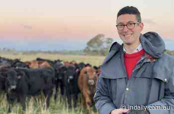 NO EXIT: Lib MP rethinks retirement as Marshall warns rebel McBride - InDaily