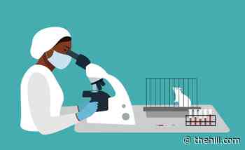 No-fridge coronavirus vaccine looks promising: study | TheHill - The Hill
