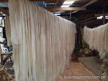 PHL abaca output seen hitting 3-year high | Jasper Y. Arcalas - Business Mirror