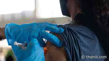 Judge blocks NY state vaccine mandate for medical workers | TheHill - The Hill