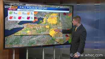 First Alert Weather In-Depth: A look at fall foliage as of Sept. 15