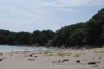 Port Colborne's Cedar Bay Beach reopens to everyone for free - NiagaraFallsReview.ca