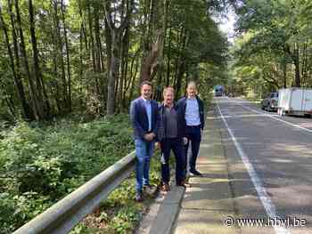 Voorbereidingen aanleg vrijliggende fietspaden langs N73 van start: beurtelings verkeer tot voorjaar 2022 - Het Belang van Limburg