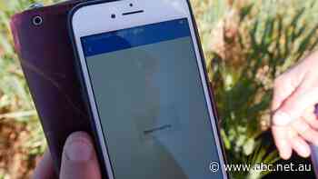 Tourists leave no mobile internet for farmers, businesses