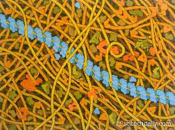 Mending Broken DNA: Researchers Solve Puzzling Biological Search Problem