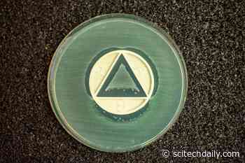 Using Evolutionary Principles To Prevent Antibiotic Resistance