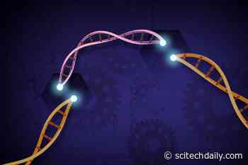 Researchers Engineer a Mini CRISPR Genetic Editing System That Could Be Easier To Deliver Into Cells
