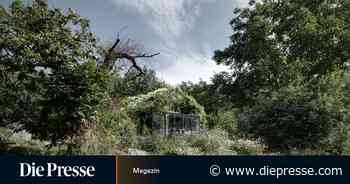 Architektur, die atmet - Die Presse