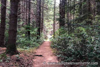 First ever Cortes Island marathon off and running this weekend – Campbell River Mirror - Campbell River Mirror
