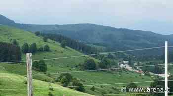 Sega di Ala premia la prevenzione Estate da lupi: predati - L'Arena