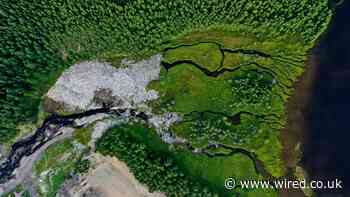 The pandemic showed we need a Green New Deal