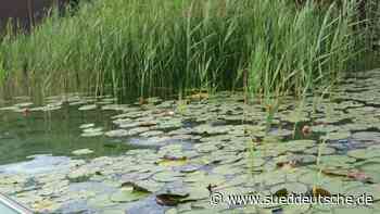 Unersetzlicher Lebensraum - Süddeutsche Zeitung