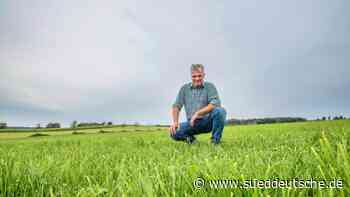 Berg: Pläne für Wagyu-Mastbetrieb in Mörlbach - Süddeutsche Zeitung