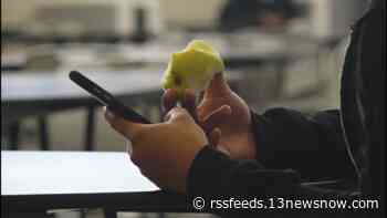 What is ViSSTA? Here's which Virginia schools are part of a program to increase COVID testing
