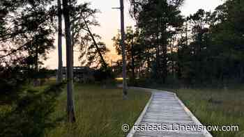 First Landing State Park offers a hiking oasis in Virginia Beach