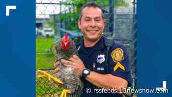 Norfolk Animal Care & Adoption Center, police team up to promote adoptions