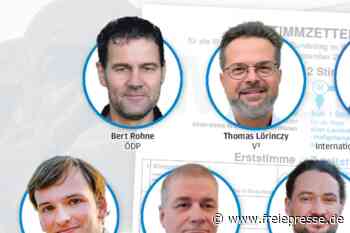 Auch sie wollen in den Bundestag - Freie Presse