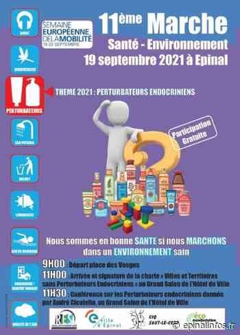 La chasse aux perturbateurs endocriniens est ouverte à Epinal ! - Epinal infos - Epinal Infos
