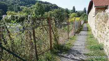 Bischofsheim: Der Weg an der Stadtmauer soll umfassend saniert werden - Main-Post