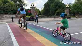 The race to win Kitchener Centre: Why this riding might just be the most interesting in Canada