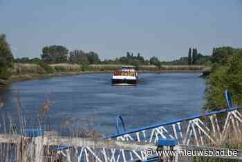 Rivierpark Scheldevallei kandidaat voor nationaal park: “De enige plaats in Vlaanderen waar de otter zich opnieuw voortplant”<BR />