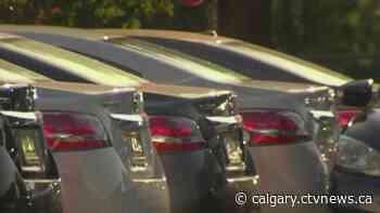 Fraudsters take aim at Calgary vehicle owners in a new scheme | CTV News - CTV News Calgary