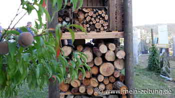 Lebenstürme sorgen für mehr Artenvielfalt: 100. Bauwerk an der Mosel eingeweiht worden - Rhein-Zeitung