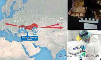 The Great Bronze Age migration was fuelled by milk, study finds