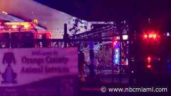 ‘Worst Nightmare': 20-Plus Cats Die in Central Florida Shelter Fire