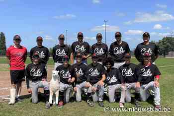 The Merchtem Cats kan verder groeien dankzij extra terrein: “We zijn nu al de grootste club van het land”