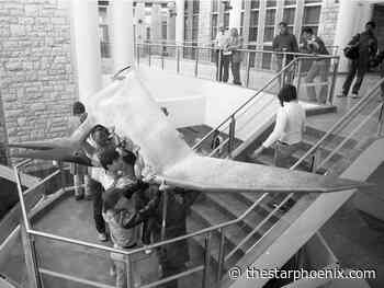 Throwback Thursday: Pteranodon model moves in at U of S