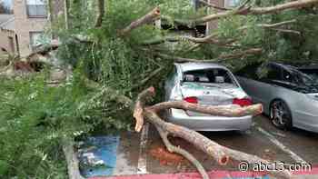 Hurricane Nicholas: Winds cause tree to fall on Houston mom's car seconds after she walks away - KTRK-TV