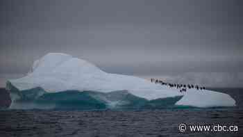 Ozone hole over Antarctica larger than usual, scientists say