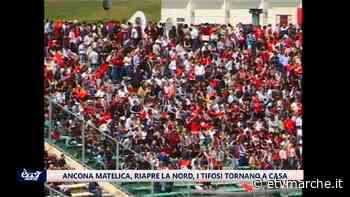 Ancona Matelica, riapre la nord. I tifosi tornano a casa - Redazione ETV Marche