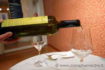 Il Verdicchio di Matelica alla prova dell'invecchiamento - CronacheMarche